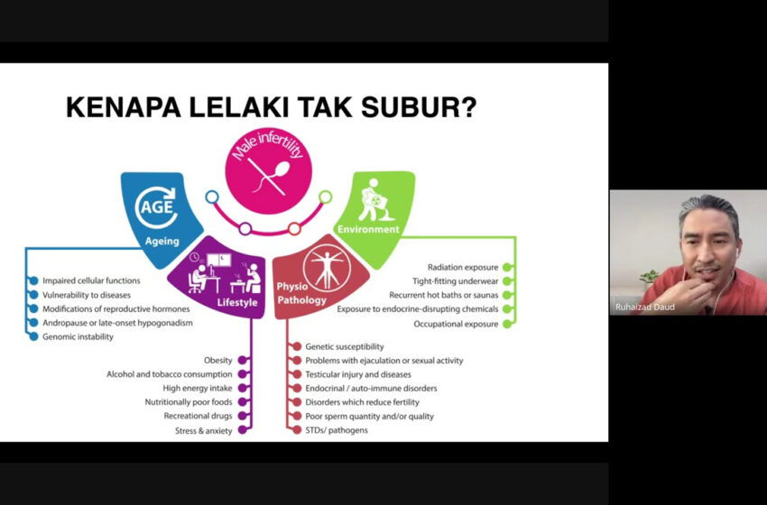  Kesuburan Lelaki: Fakta vs Mitos & Cara Meningkatkannya Secara Semula Jadi!